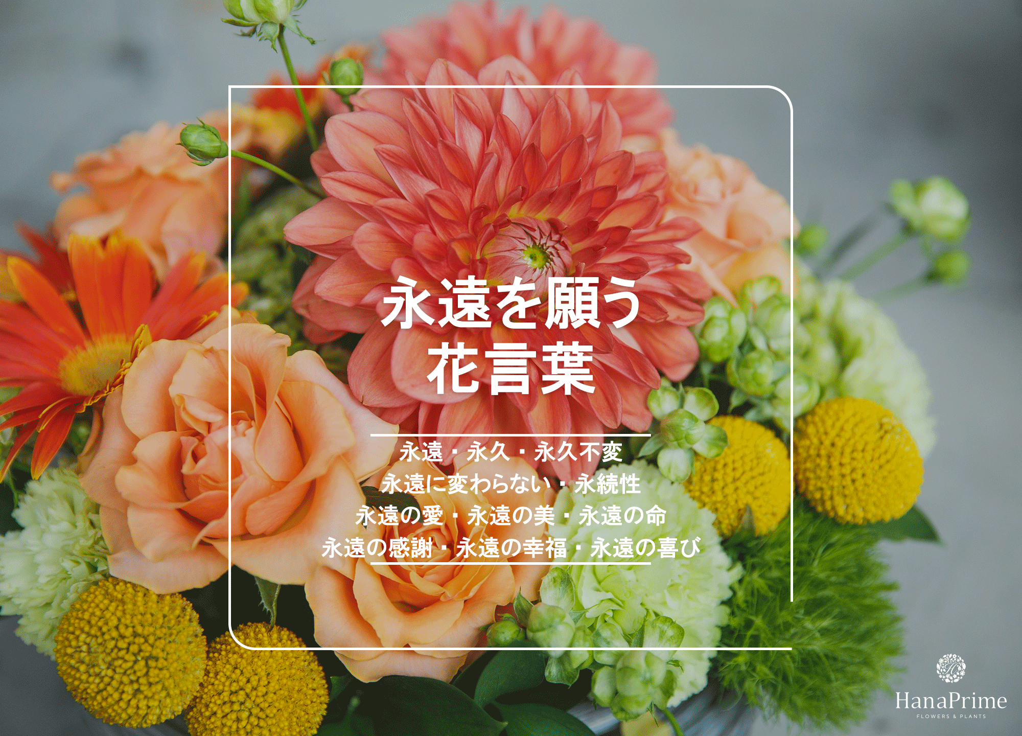 恋」や「愛」の花言葉を持つ花LOVEGREEN ラブグリーン