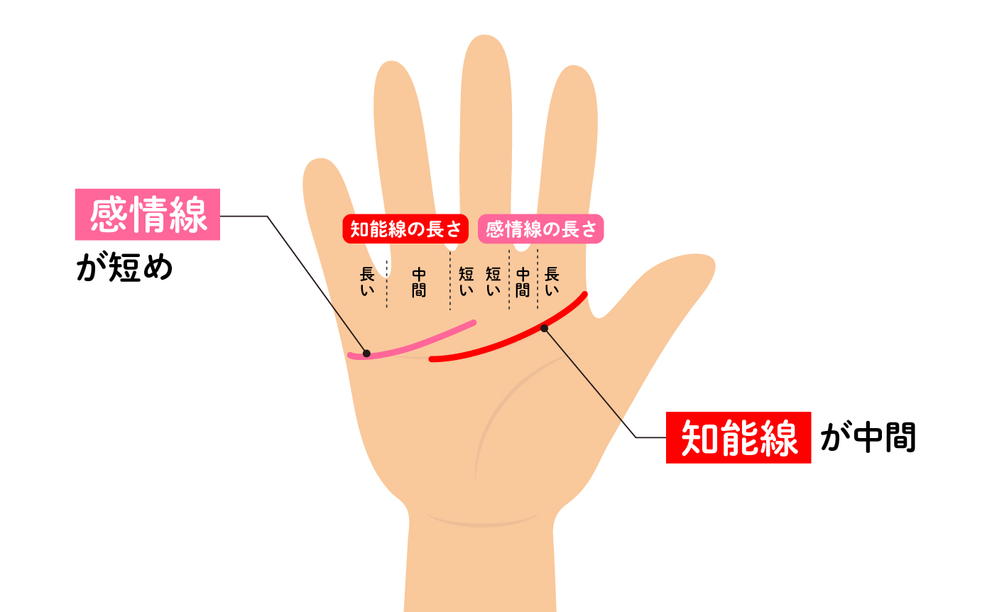 有料級解説 生命線が二股に！人生が拡大する兆し！！ 手相鑑定 ～質問返し～ - YouTube