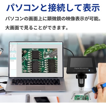 人間の爪の一部の顕微鏡画像 - ひらめきのストックフォトや画像を多数ご用意 - ひらめき, アイデア, アウトフォーカス - iStock