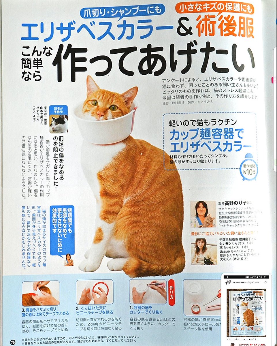 エリザベスカラーの作成法 - 猫とわたし