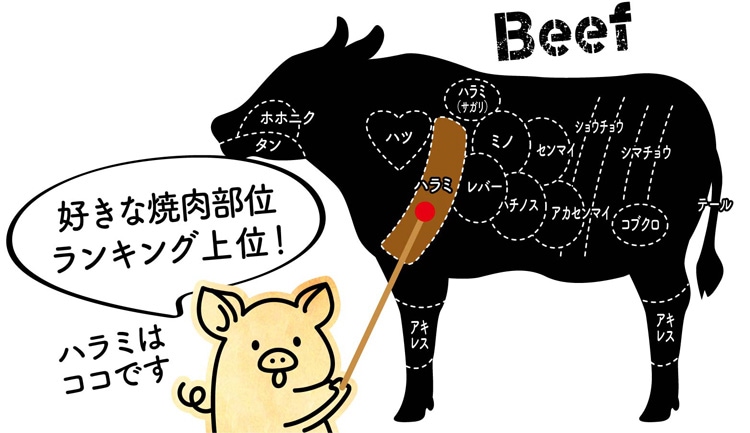 肉の部位の呼び名は、地域によってこんなに違う！ チマキに天肉、クラシタとは！？ 飲食店ドットコム 仕入れ先探し
