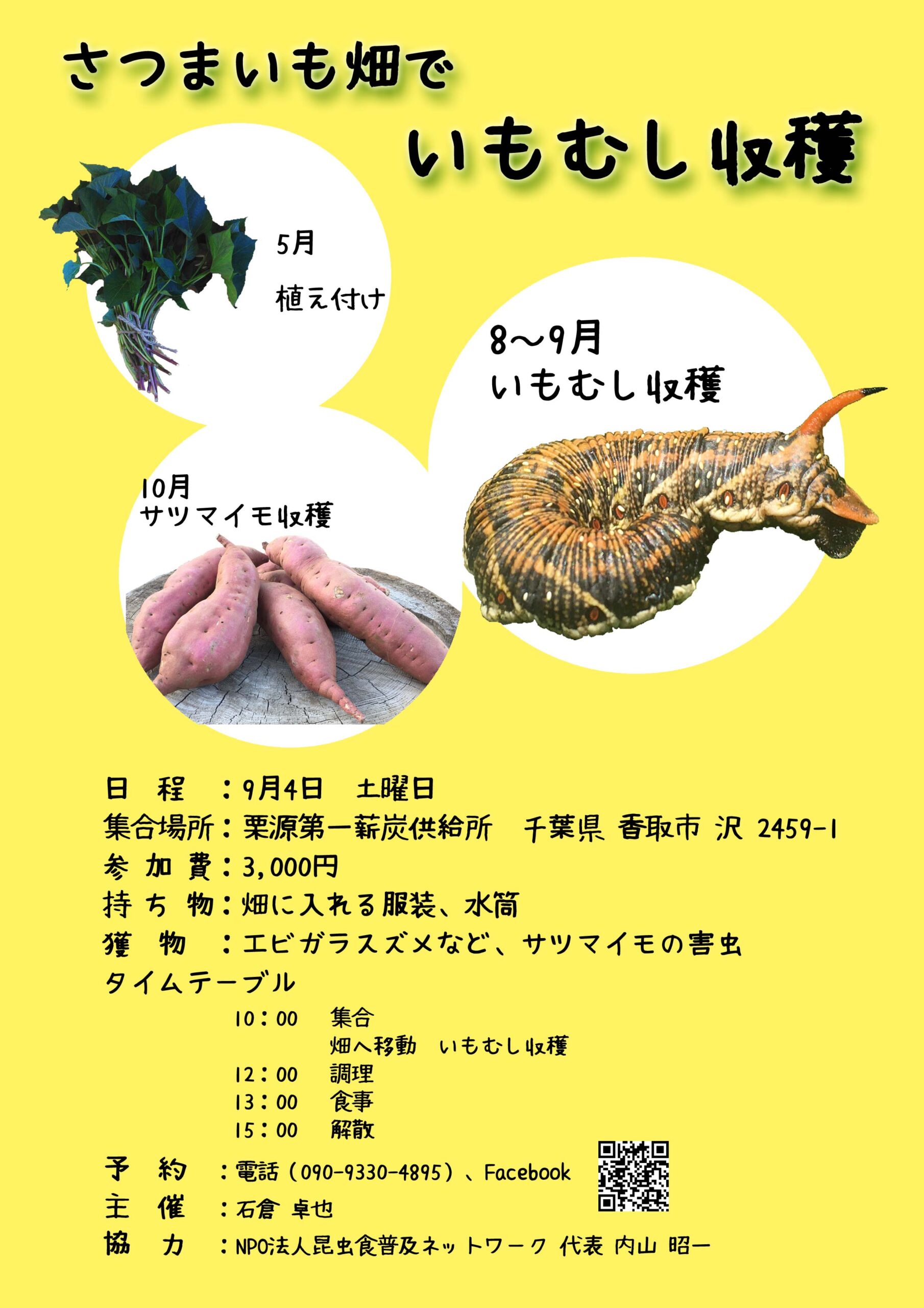 サツマイモ害虫、県内で初の確認 アリモドキゾウムシ：中日新聞しずおかWeb