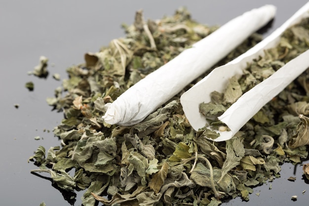 マリファナ柄トレー♡の通販 by 喫煙shopラクマ