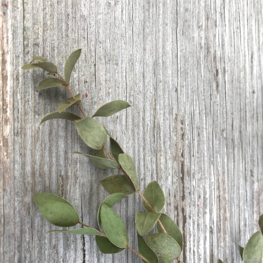 ユーカリ 暮らしの中での使い方 紹介