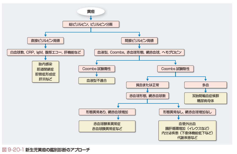 看護師監修 新生児の黄疸いつまで？長引く症状や原因、基準値や治療法cozre コズレ 子育てマガジン