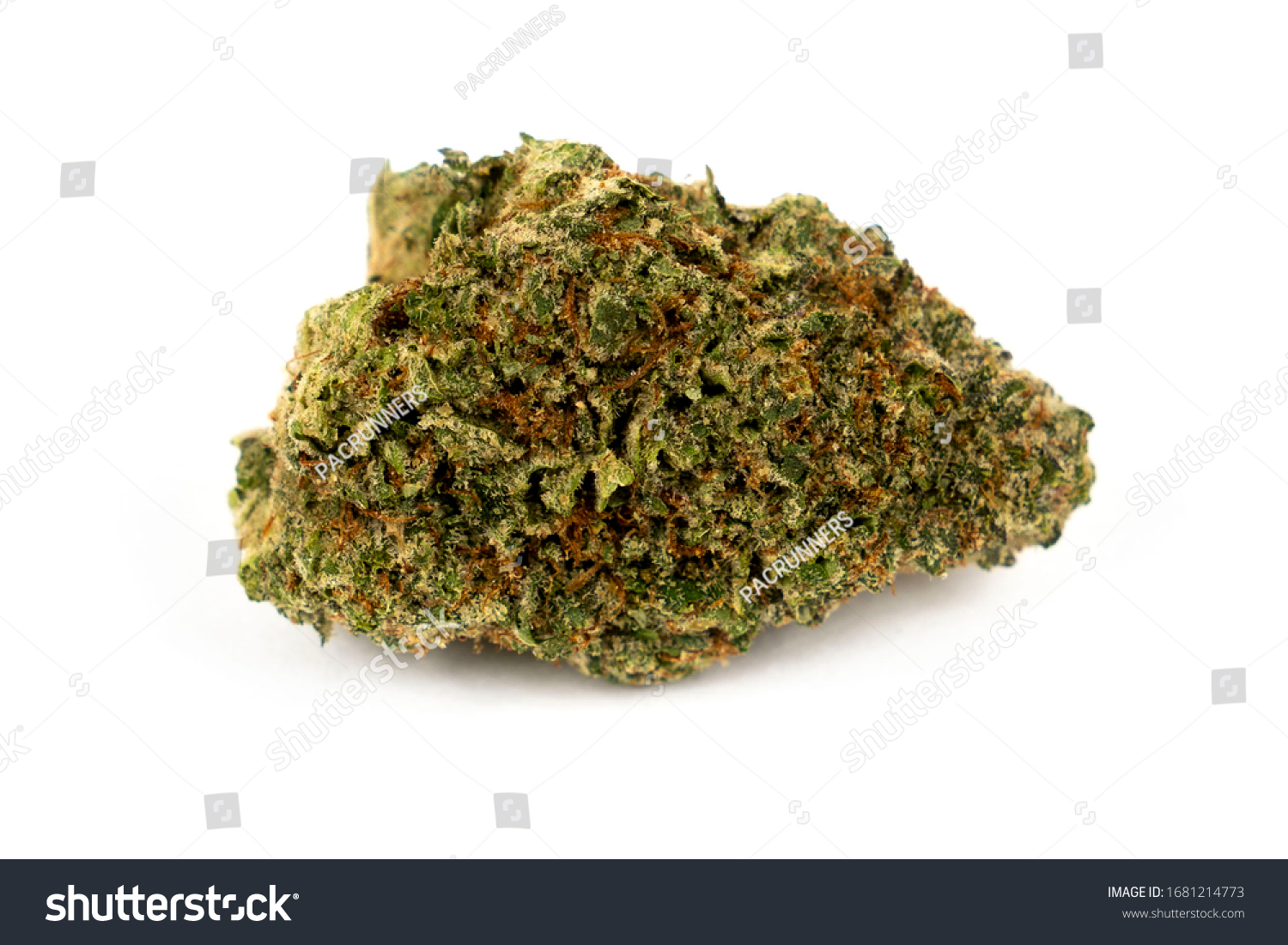 大麻草の種類 サティバ・インディカ・ハイブリット 違いと特徴は？Bicle-ビクル 公式