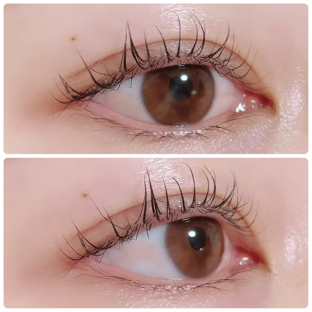 ◇まつ毛パーマを上下でかけるメリット◇銀座エリアで人気のマツエクサロン・eyelash salon RACOTAに在籍するアイリストのブログ