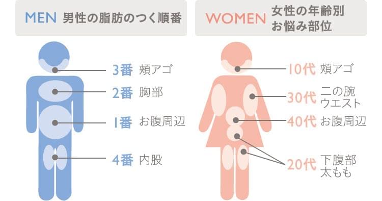 痩せる順番がわかれば効率的に痩せられる！脂肪の種類別、部位別の痩せる順番大全 - エステ体験・痩身・フェイシャルなら銀座グラティア