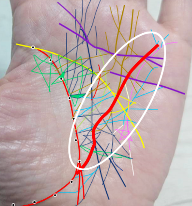 手相のスター線 星紋 は宝くじも当たる大幸運の相！意味と見方ひつじの手相占い