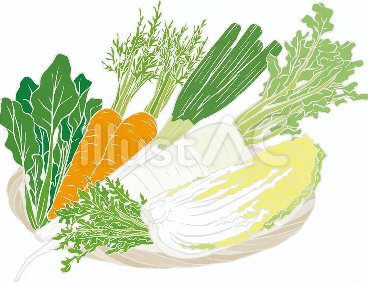 水彩のかわいい冬野菜：イラスト無料