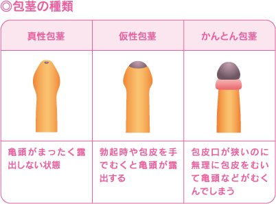 トイレットペーパーの芯チャレンジ】チンコの理想サイズは芯の大きさって本当なの？ | Men's