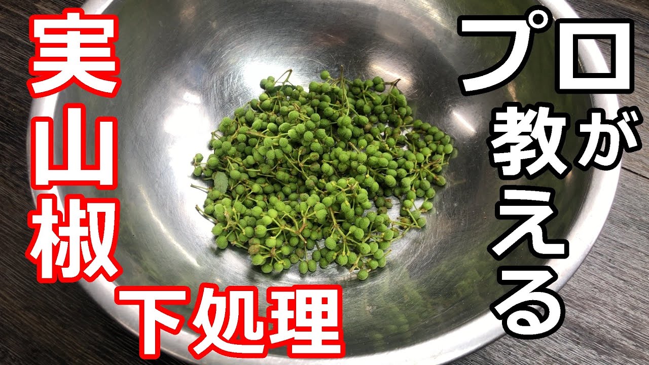 完全保存版 基本の山椒のあく抜きと簡単保存方法 - YouTube