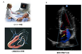 心臓画像クリニック飯田橋東京都新宿区飯田橋駅病院なび