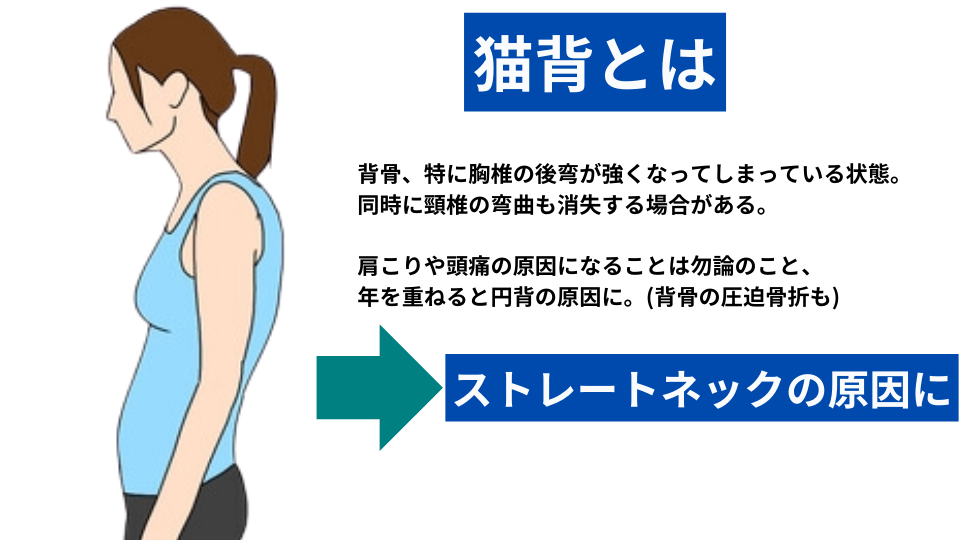 后背疼与多种病有关！一张「疼痛位置图解」看得明明白白-京东健康-京东健康