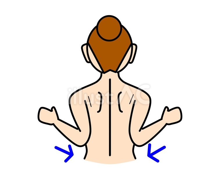 肩関節周辺の筋肉や解剖学的構造のイラスト素材231569257 毎月1点無料 フリー のストックフォト イメージマート