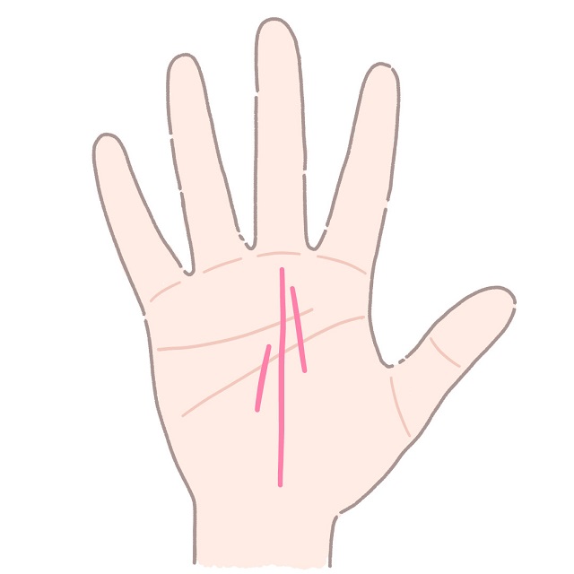 完全網羅 生命線の枝分かれ11パターン紹介！寿命や健康状態が分かる