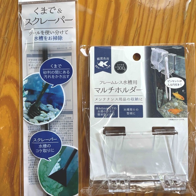 セリアで発見！100均の水草の栽培ポットでブセを水上化できるか実験 - たなごGo