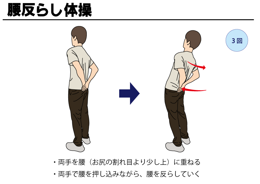 バランスボールで腰痛をラクラク解消 理学療法士が解説！腰痛に効く「4つの基本エクササイズ」ヨガジャーナルオンライン