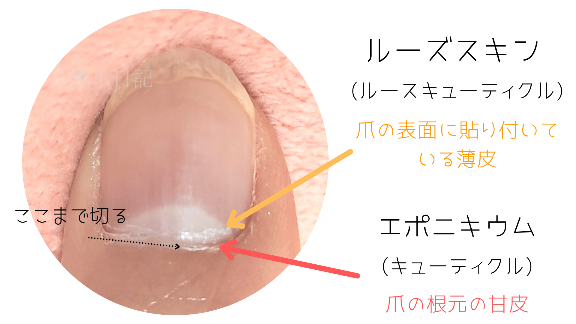 甘皮処理のやり方miuk-nail