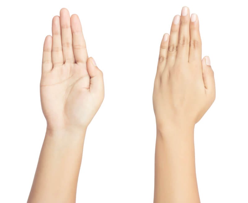 12の星座の要素を持つ白い手描きの手相占いイラスト画像とPSDフリー素材透過の無料ダウンロード - Pngtree