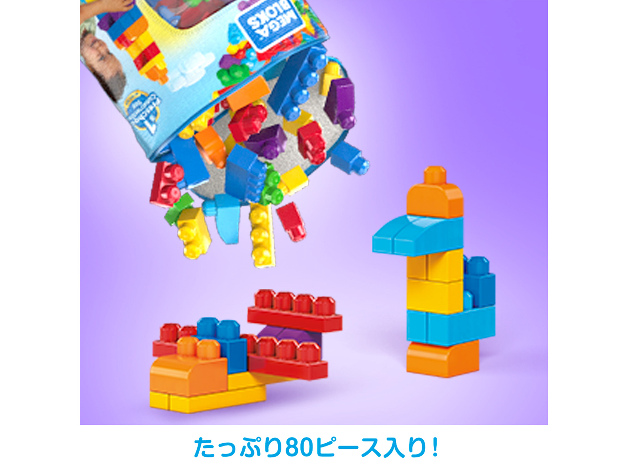 フロックス 新・花と緑の詳しい図鑑