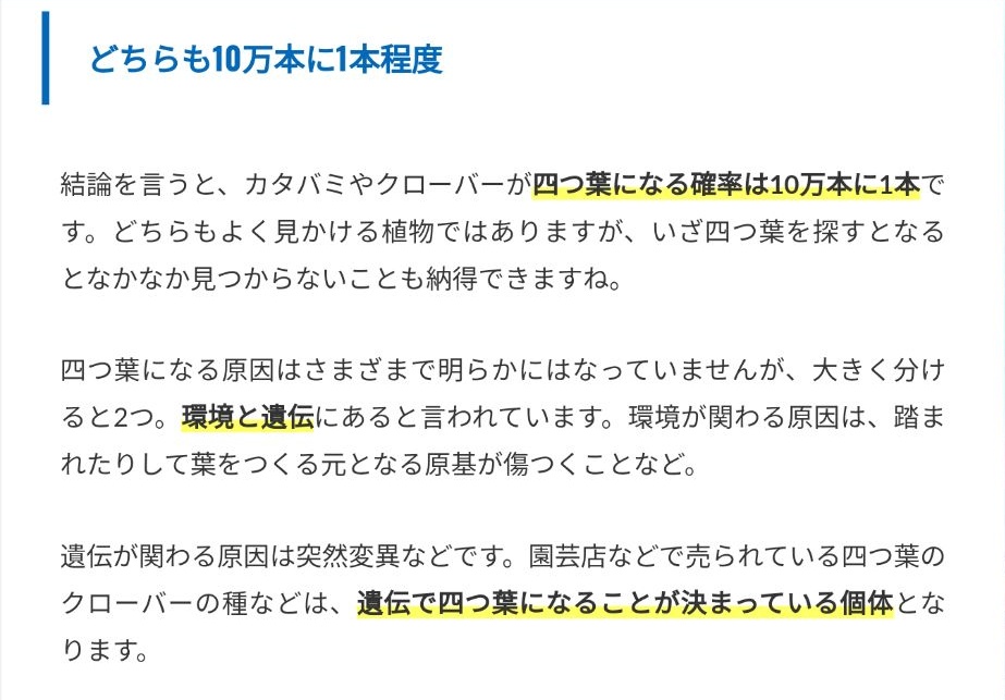 カタバミの花言葉は怖い？クローバーとの違いや育て方、主な種類を解説胡蝶蘭・スタンド花のプレミアガーデン