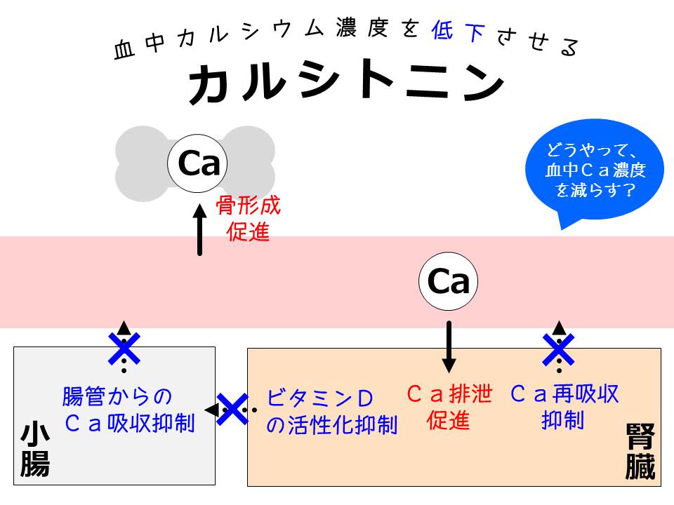 みんなでつくる 看護師国試 ごろ合わせプロジェクトプチナースWEB