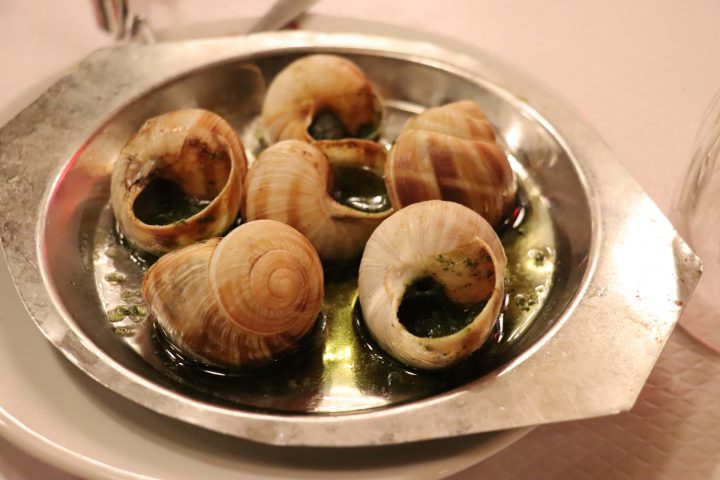 カタツムリを操り、鳥に食べさせる寄生虫、ロイコクロリディウム - 株式会社バイオーム