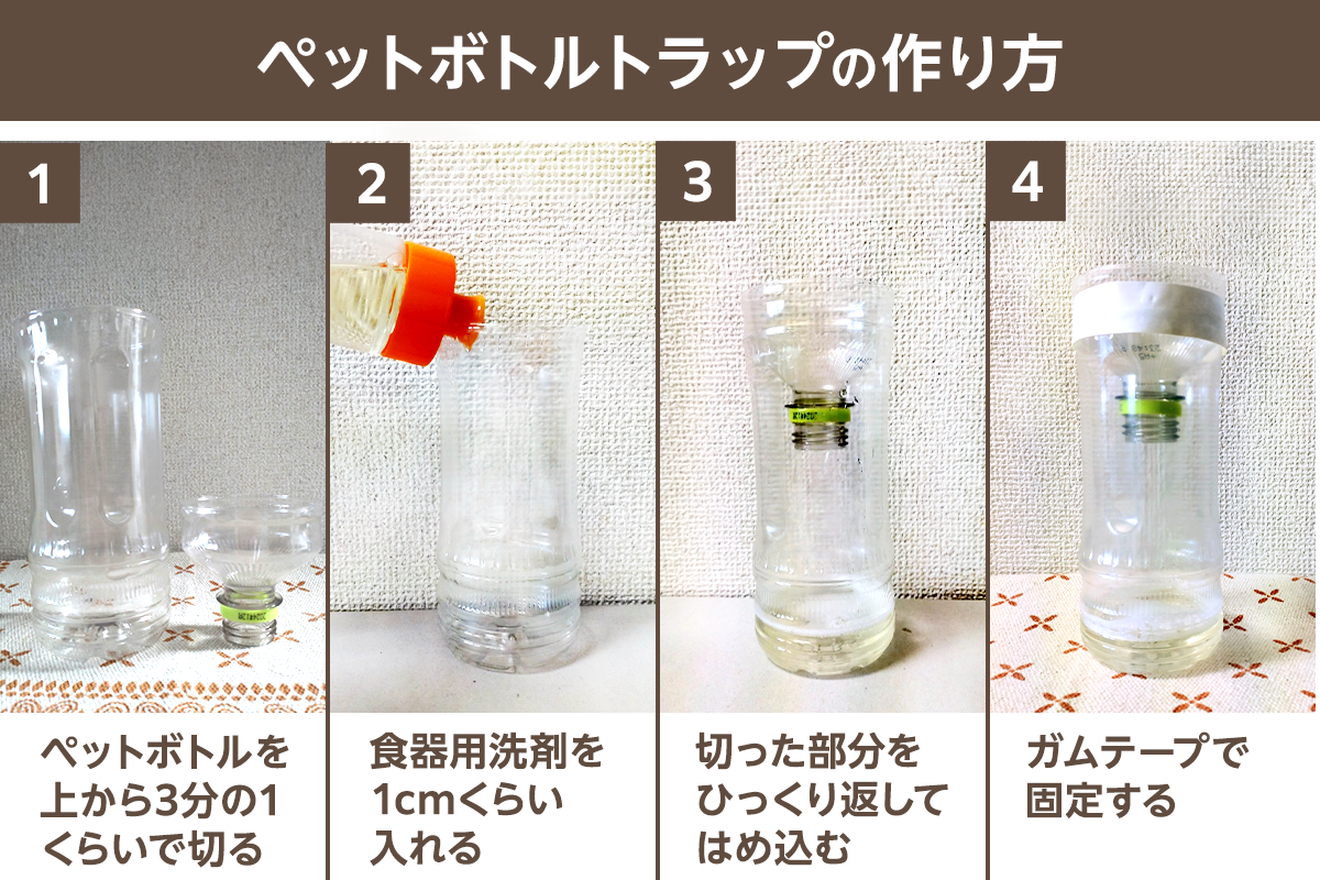 学校にカメムシが大量発生「勉強に集中できない！」高校生が撃退法を調査高校生新聞オンライン高校生活と進路選択を応援するお役立ちメディア