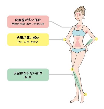 続・皮膚科医が皮膚がんを疑うとき病気のはなし公立学校共済組合 関東中央病院