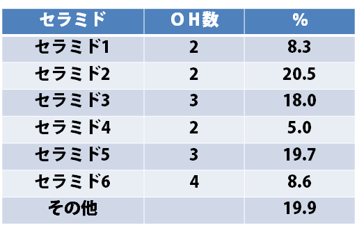 表皮 角質層・顆粒層・有棘層・基底層 について