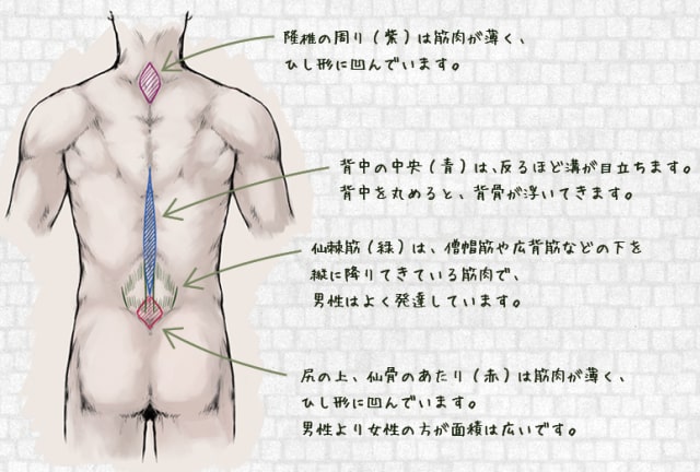 瞬く🐈 Skebご依頼募集中🍎 on X: 
