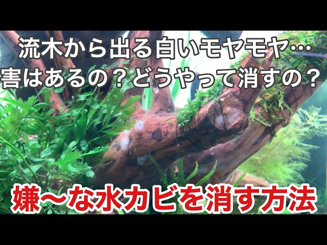 非處方藥物選擇簡介– 塔魚手札工作坊