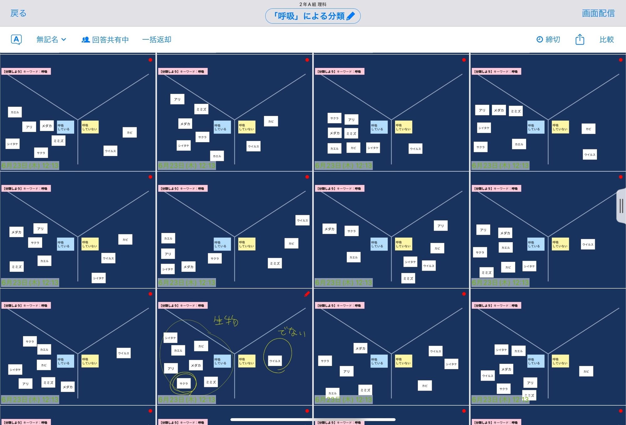 実験 植物の呼吸