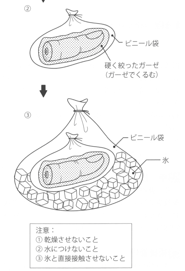 講師特別インタビュー 伊藤真波さん 前編交通事故による右手切断どんなときでも見守ってきた両親の存在講演依頼・講師派遣、オンライン講演ならシステムブレーンまで