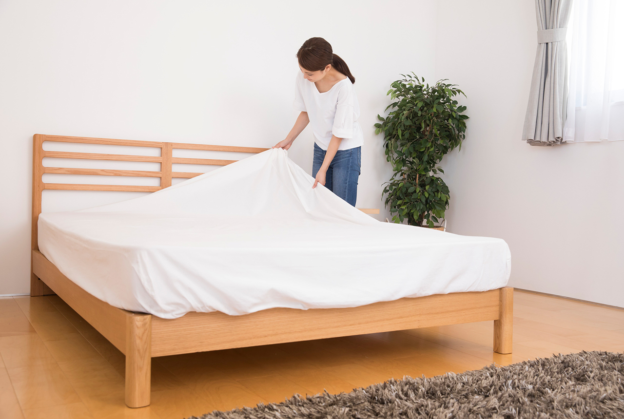 ダニを自分で退治したい人必見！布団・カーペット・床での対処法とはROY株式会社