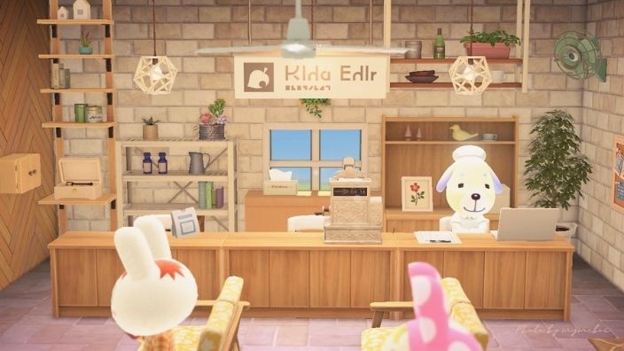 あつまれ どうぶつの森～ユメミル島ライフ５５気まま女ぐらし