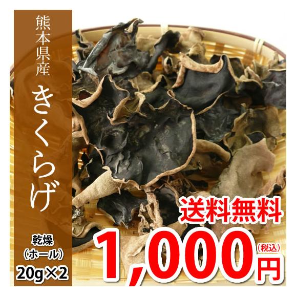 癒されて整うCafé「禅心生活 ぜんしんせいかつ 」は風景も居心地も計算された空間 球磨郡錦町くまもとオンライン