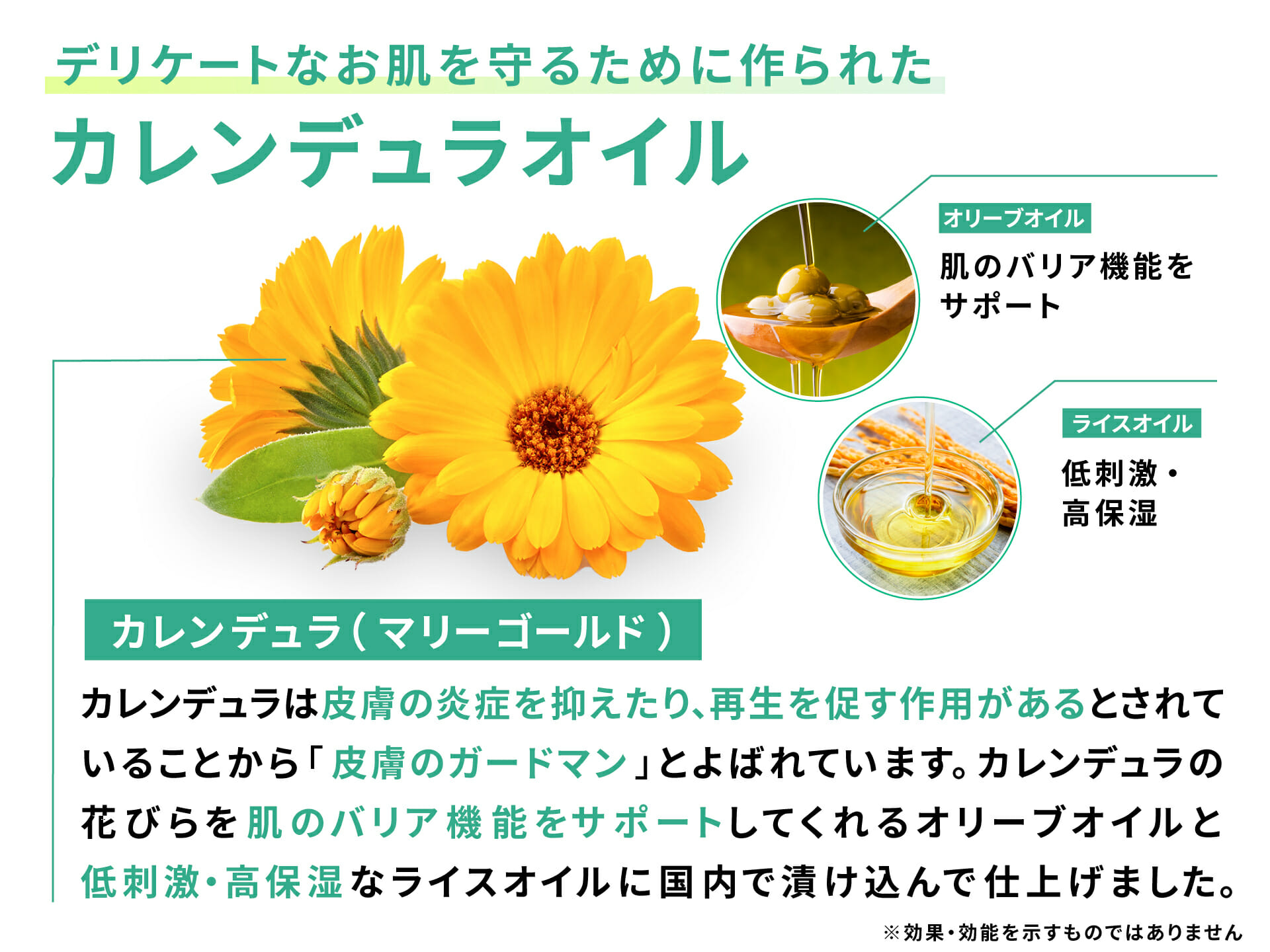 ハーブティー カレンデュラ -皆に優しいオーガニック飲料 就労継続支援A型事業所ほう・れん・そう– ほう・れん・そうみんなに優しいオンラインショップ