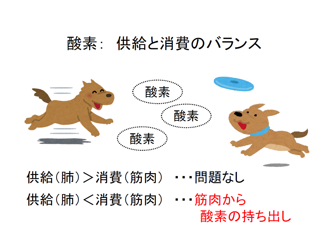 横紋筋融解症に続発する腎不全の新たなメカニズムの解明KOMPAS – 慶應義塾大学病院 医療・健康情報サイト