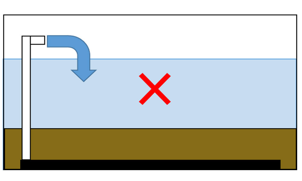 底面フィルターは難しい？実は安くて簡単で初心者にもおすすめなんです！！アクアリウムを静かにやりたいの