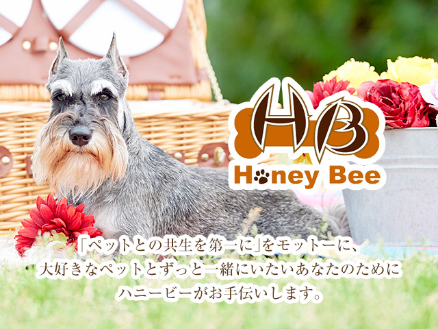 Nijiiro Lamp｜ニジイロランプ】 テーブルランプ Honeybee premium