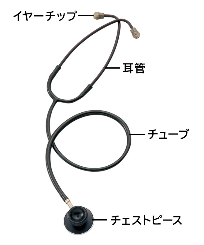 スタッフコラム60どれだけ知ってる？！聴診器の違い - 看護師 ナース の通販ならアンファミエ