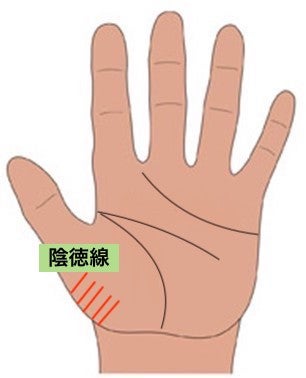 いい人線👍生命線の内側 金星丘 に、手首の方から縦に伸びる線を『陰徳紋 いんとくもん 』と言う。複数本でていることが多いので、「紋」になっているのだと思う。手相 で知る自分の強み弱み✨手相の見方 を紹介しています。@tesomi.panacee