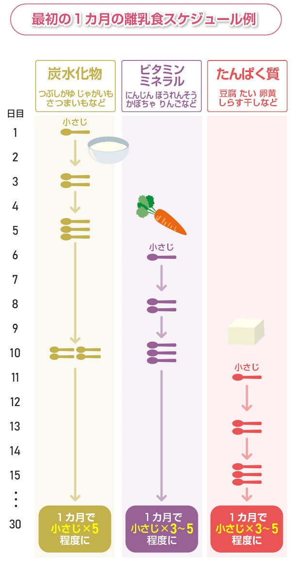 7～8カ月ごろ 離乳食中期 の離乳食の進め方 食事の量・離乳食スケジュール・レシピ ベビーカレンダ