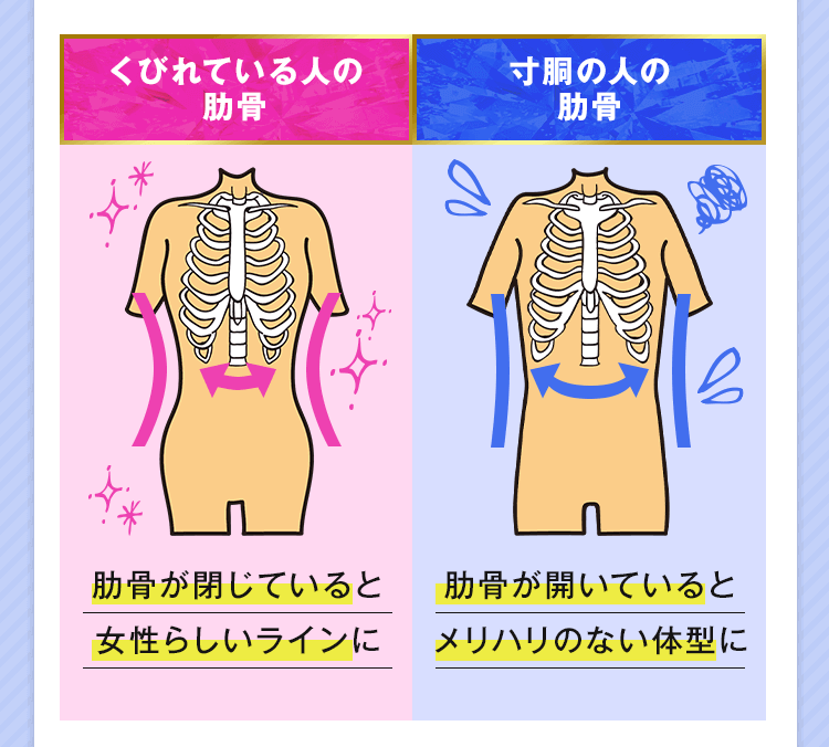 肋骨を締めるストレッチでくびれをつくろう！開いている状態や原因についても解説！セラピストプラス医療介護・リハビリ・療法士のお役立ち情報