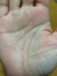 離れ型生命線と知能線の起点 始まり が離れている相手相の見方