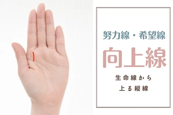 旅行線生命線の中央より下から手首方向に伸びる線 生まれ育った場所を離れて活躍する人や、旅行・お出かけが開運につながる人に現れる。また、国際的に活躍できる素養や、グローバルな仕事に縁がある人。 この旅行線キャリアアップにも役立ちます↓ 新しい環境や文化