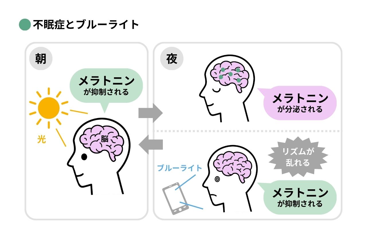 あなたは朝派？夜派？ ウォーキングおすすめのポイントサカナのちから たんぱく質ヘルスケアコラム