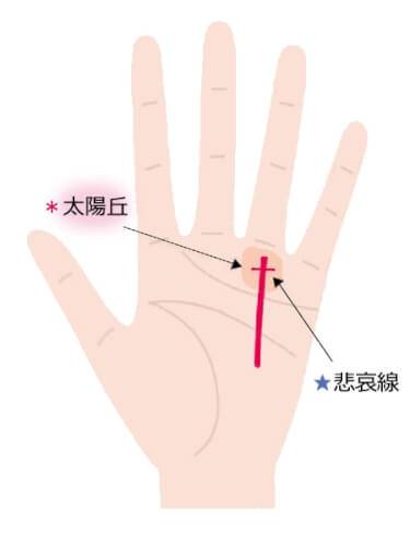 太陽丘の見方特徴別に解説するビジュアル手相占いアリスの占い館